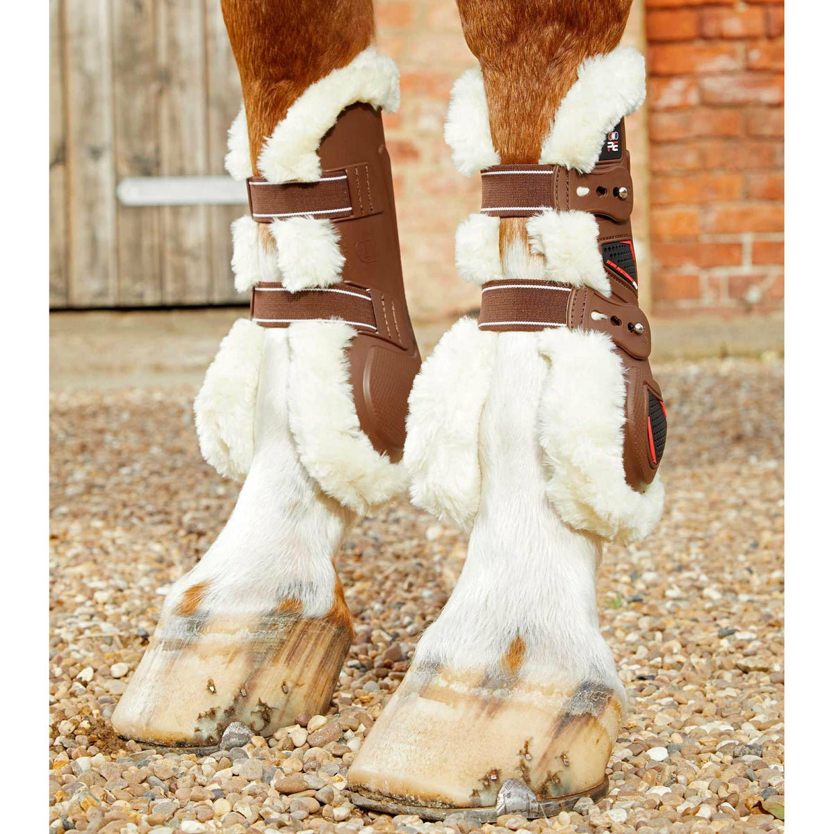 Tendon boots for horses sales