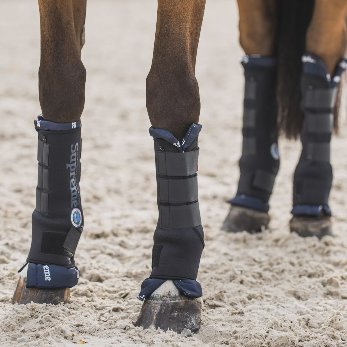 Horze Supreme Pro Stable Boots Front Taupo Equestrian Supplies