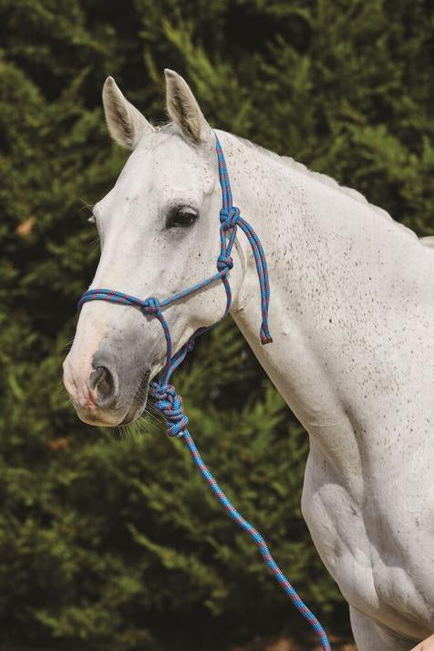 Saxon Two Tone Rope Halter and Lead Set