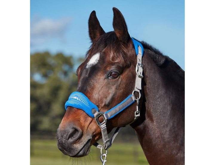 Weatherbeeta Prime Plus Headcollar and Lead Set