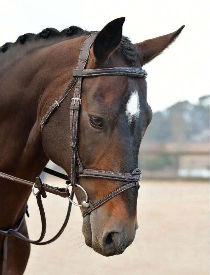 Collegiate ComFiTec Opulux Fancy Stitch Padded Hanoverian Bridle