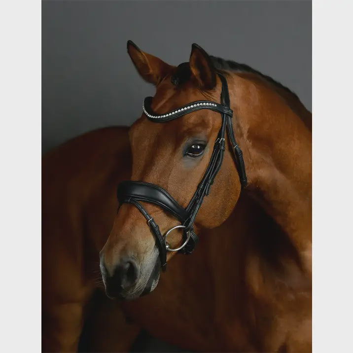 Collegiate ComFiTec Opulux Padded Dressage Bridle
