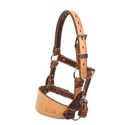 Barstow Leather Bronc Halter