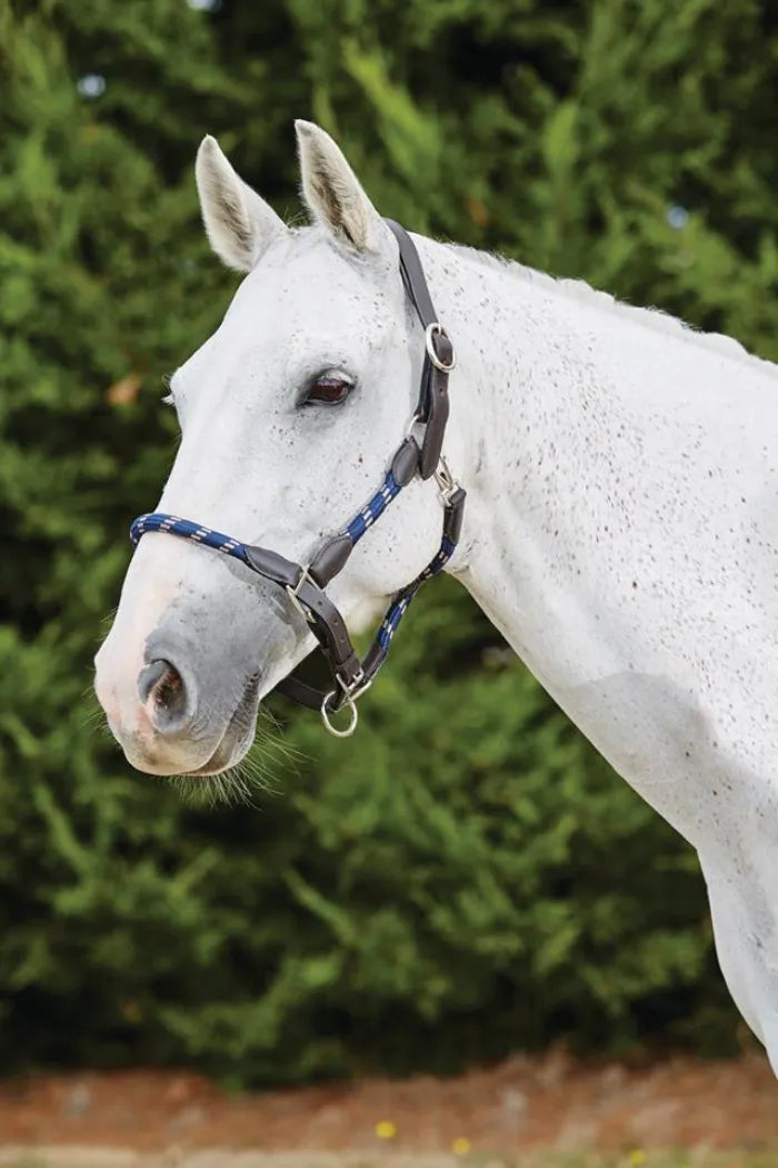 Kincade Leather Rope Headcollar