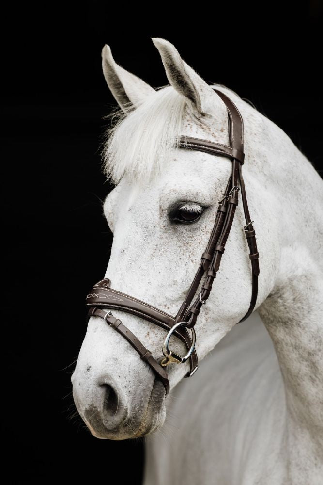 Cavallino Royal Windsor