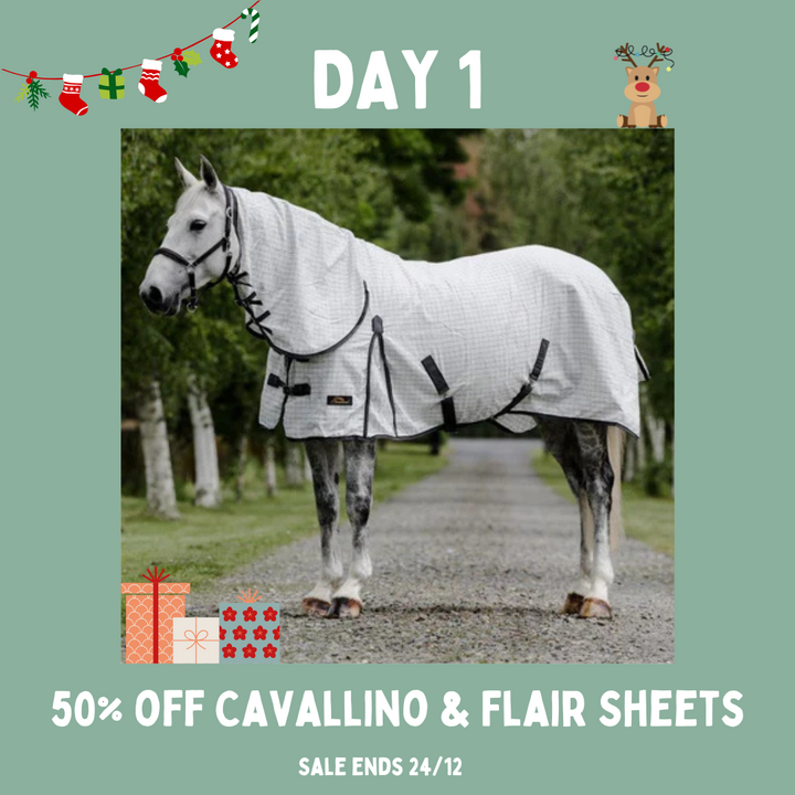 24 Days of Deals Calendar