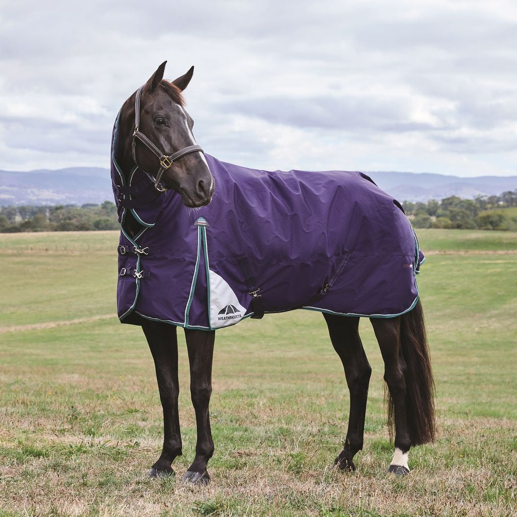 New! Midi 100gm Combo -Navy