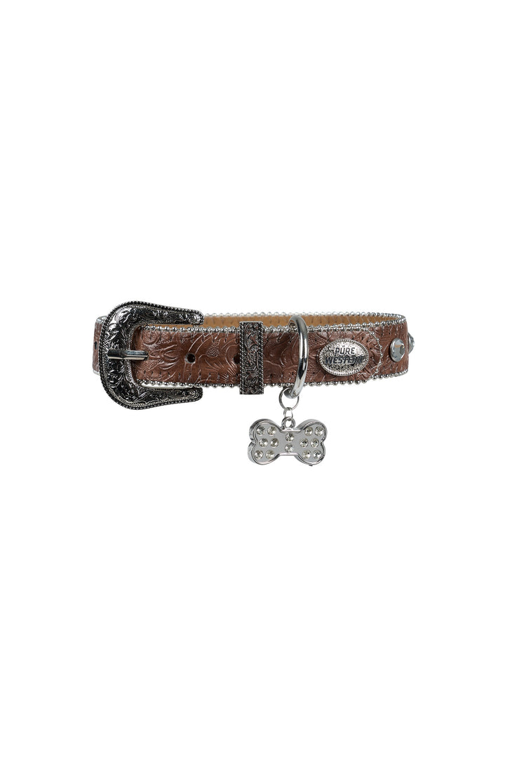 Pure Western Tilly Dog Collar