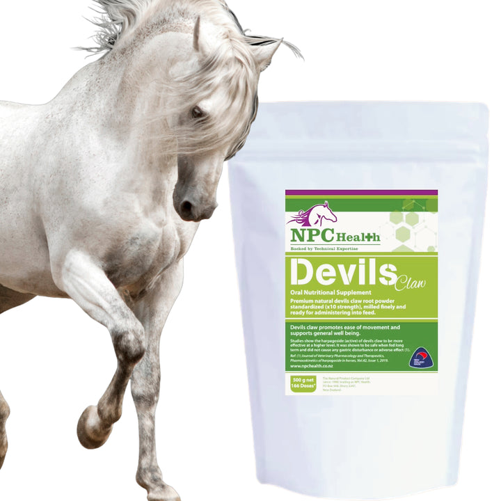 NPC Devils Claw (concentrate) Powder
