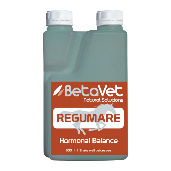 Betavet Regumare