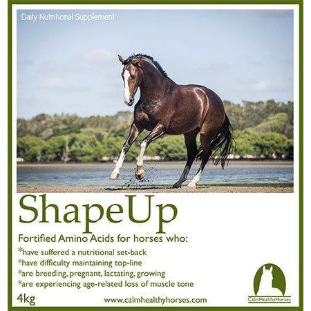 Calm Healthy Horses ShapeUp