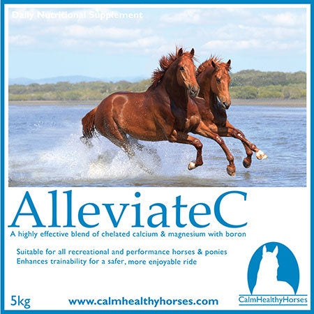 Calm Healthy Horses Alleviate C