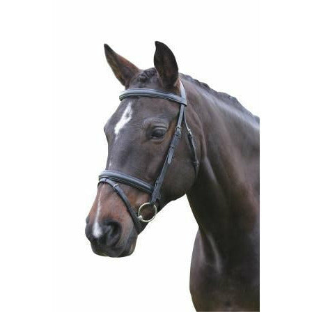 Kincade Flash Bridle III