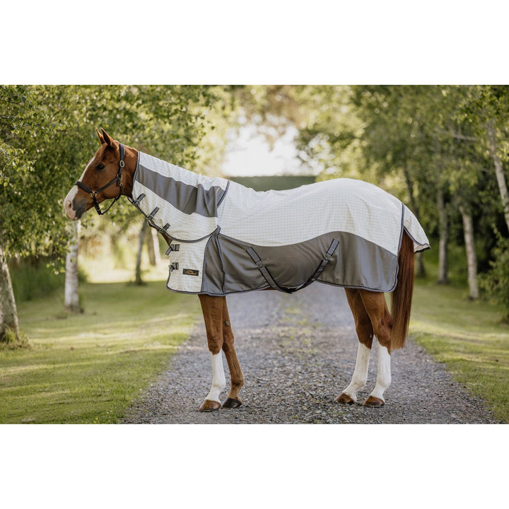 Cavallino Windsor Summer Mesh Combo