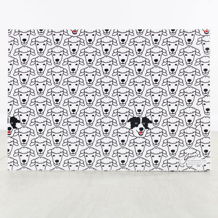 Spot the Collie Gift Wrap