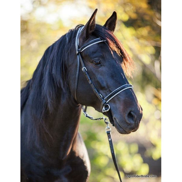 LightRider Bitless Dressage Bridle