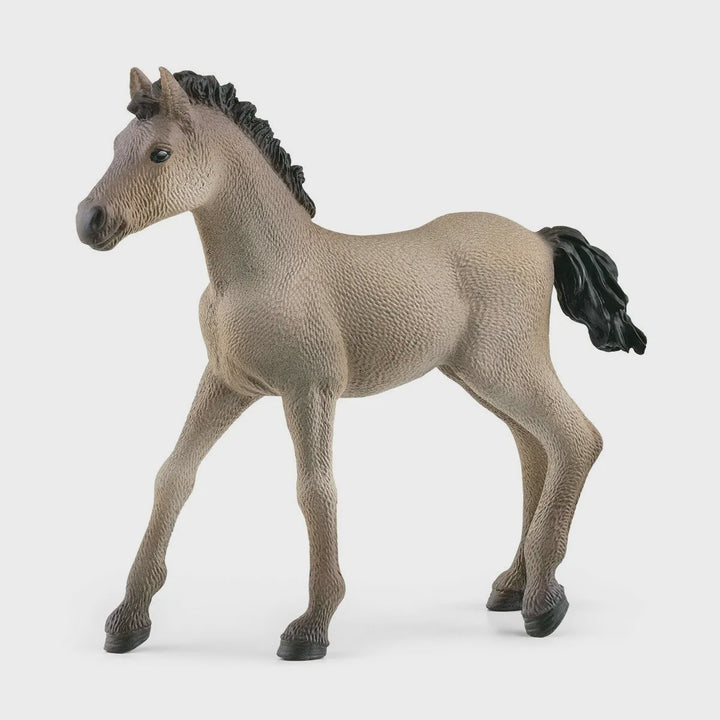 Schleich - Criollo Definitive Foal