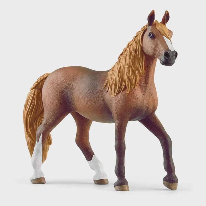 Schleich Peruano Paso Mare