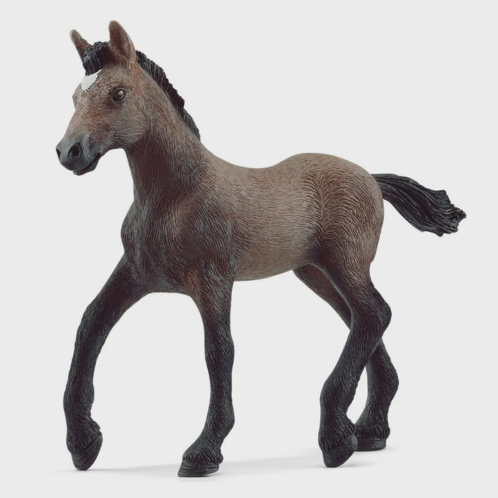 Schleich Paso Perauno Foal