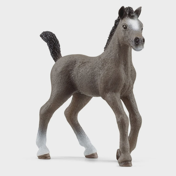 Schleich Cheval Selle Francais Foal