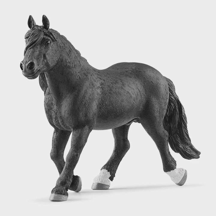 Schleich Noriker Stallion