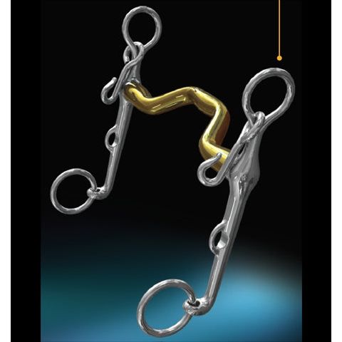 NEUE SCHULE 8028 WARMBLOOD WEYMOUTH