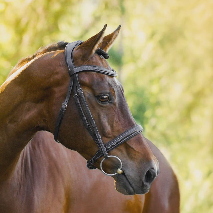 Lumiere Milan Bridle (Convertible)