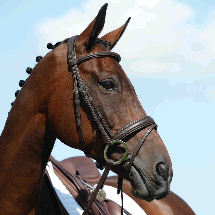 Collegiate Syntovia Padded Raised Bridle with Flash