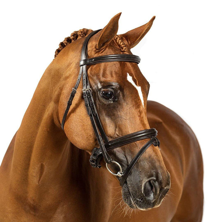 Flexible Fit Premium Havana Snaffle Bridle Enchanted