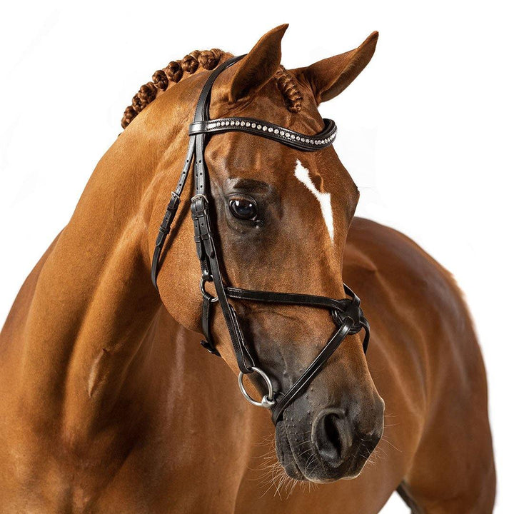 Flexible Fit Premium Havana Snaffle Bridle Dauntless