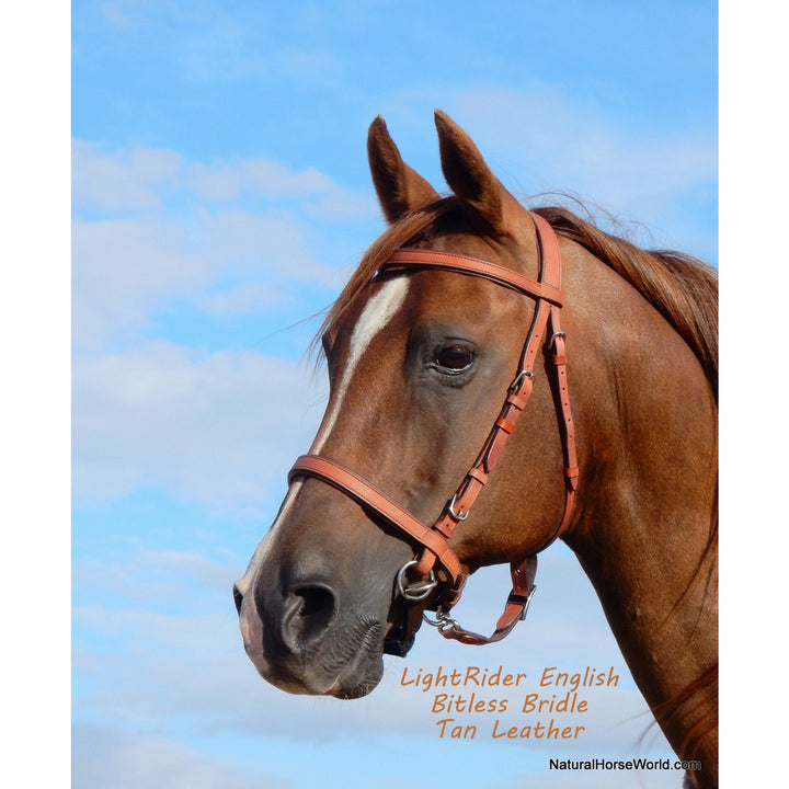 Lightrider English Bitless Bridle