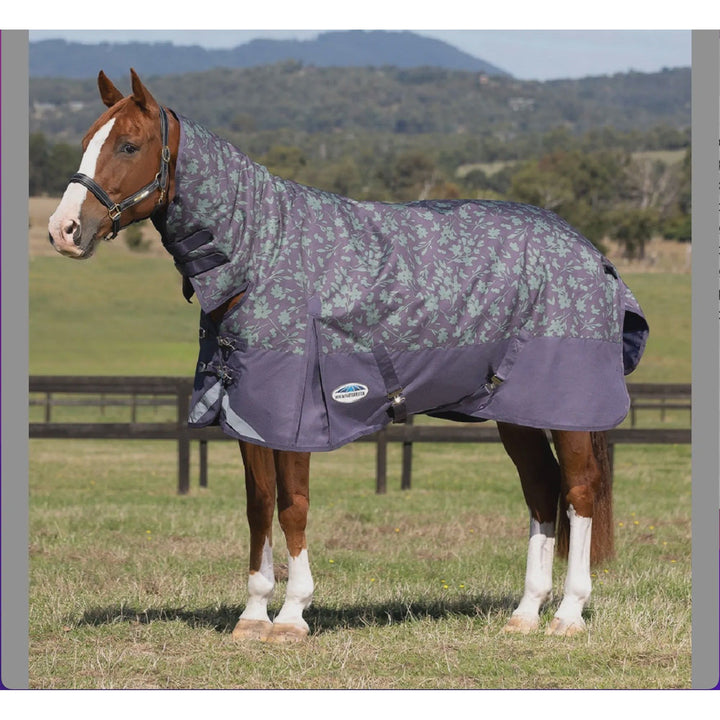 Weatherbeeta Comfitec Plus Dynamic II- Abstract Floral Print *4'0 Only*