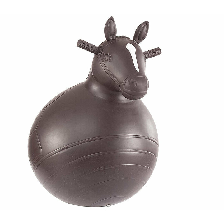 Bouncy riding ball 2025