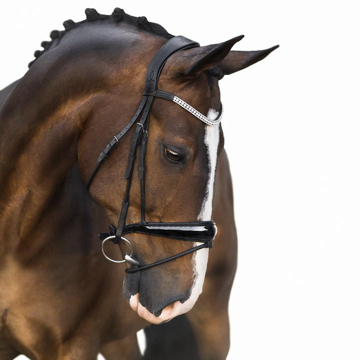 Amie rolled bridle (Cavesson)