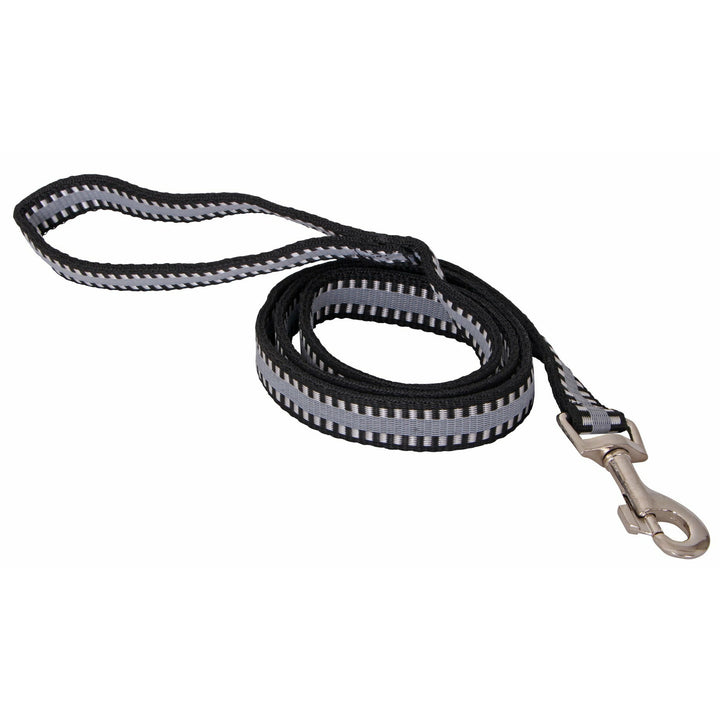 Flair Buck Stitch Dog Lead