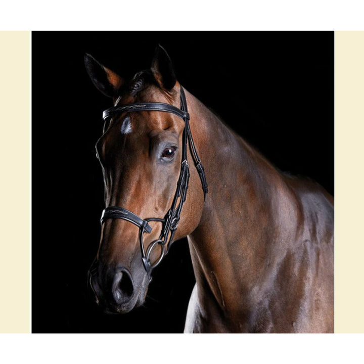 Collegiate Fancy Stitch Bridle