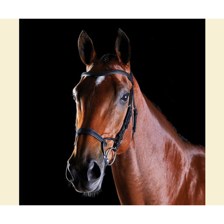 Collegiate Comfitec Training Bridle