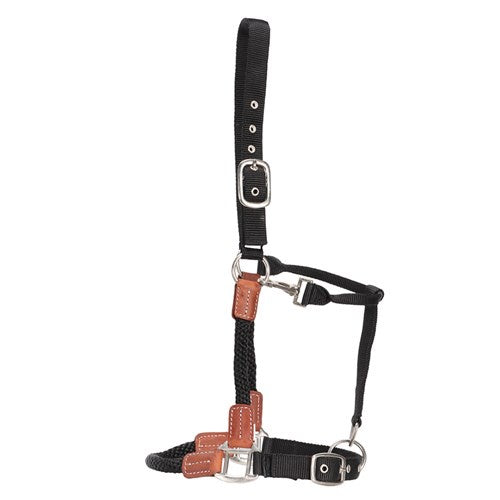 Fort Worth Hybrid Rope/Web Halter – Taupo Equestrian Supplies