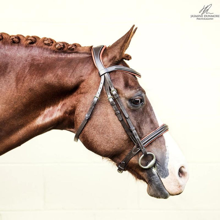 Amour Leather Bridle (convertible)