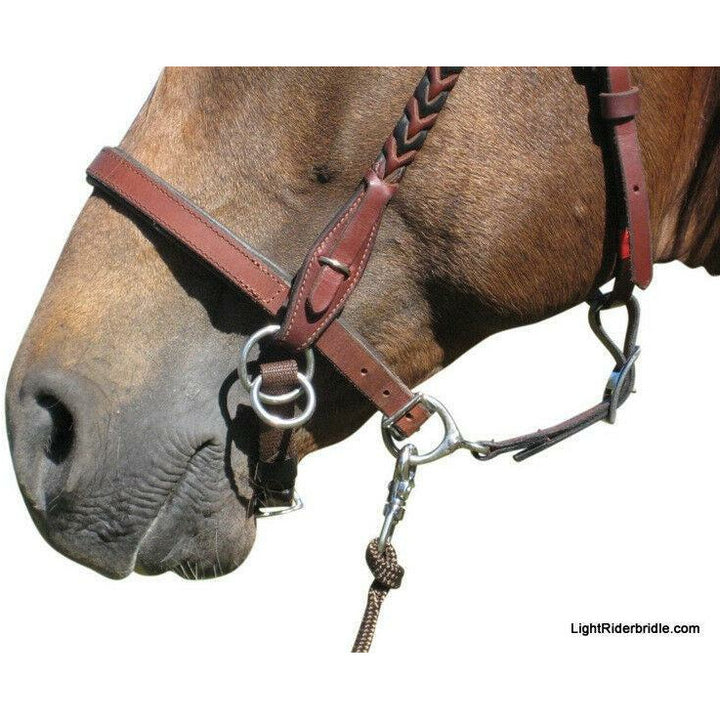 LightRider Bitless Noseband w SS Hardware