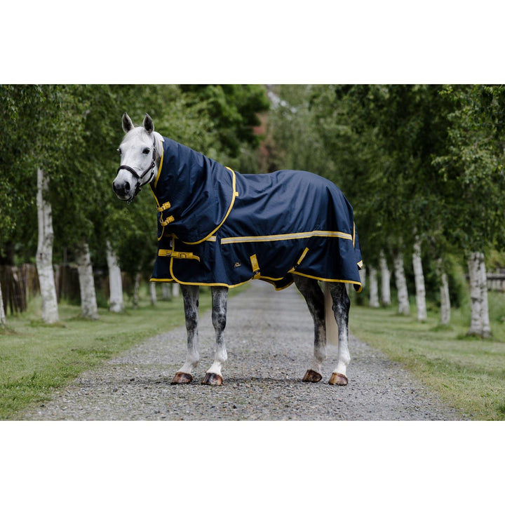 Cavallino Northampton 220gm Set
