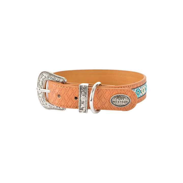 Pure Western Remy Dog Collar