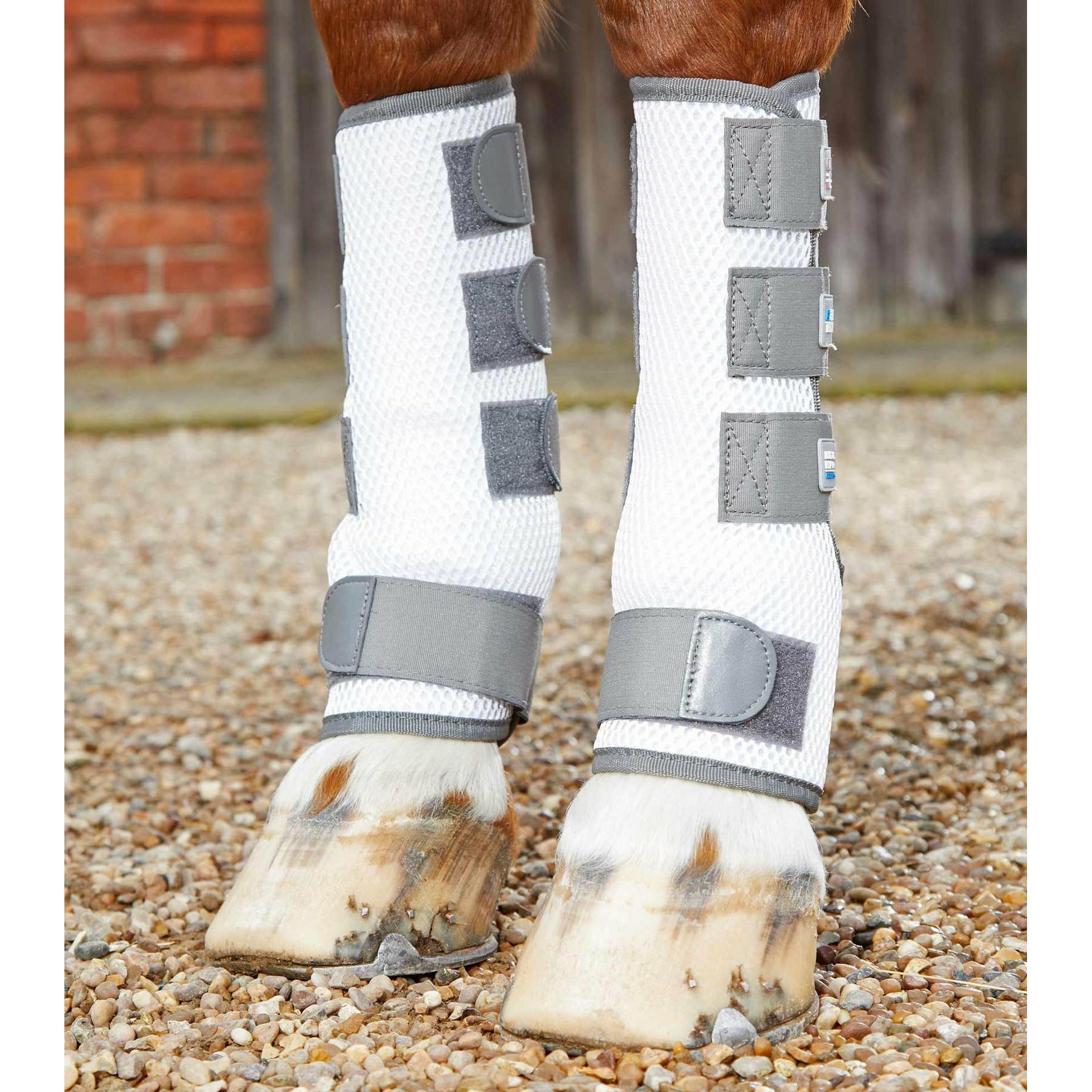 Roma fly boots deals