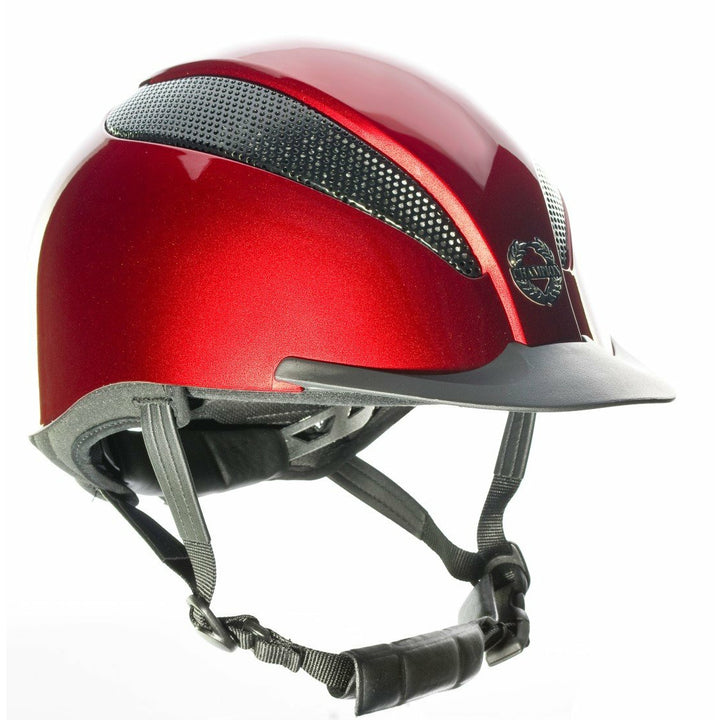Champion Air-Tech Deluxe Helmet