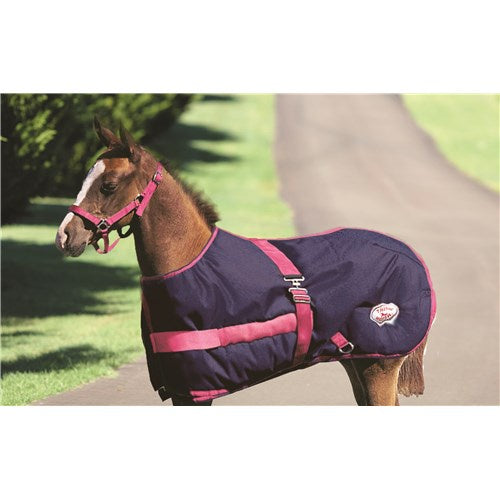 Thermo Master 600D Growing Foal Rug