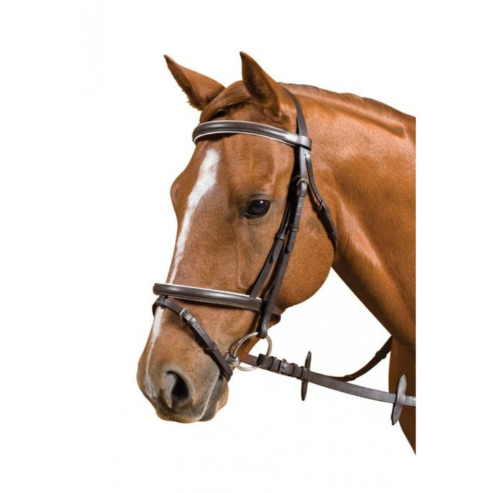 Saddlecraft Hanoverian II Bridle