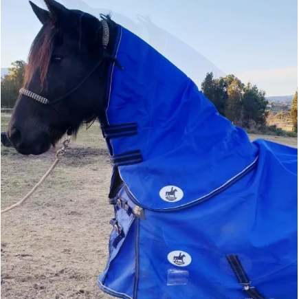 Cool Heat Neck Rug