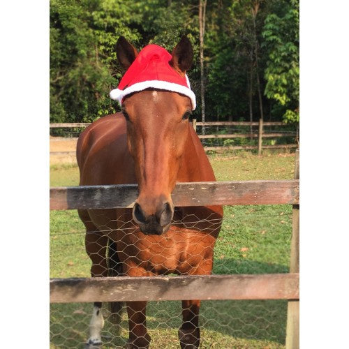 Christmas Horse Santa Hat