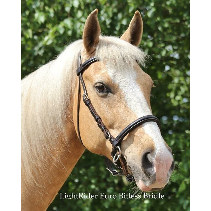 LightRider English Euro Bitless Bridle