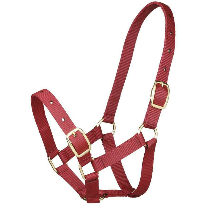 Gymkhana Foal Halter